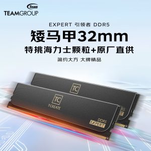 十铨引领者ddr5内存条海力士台式矮马甲6000 C28 6400 32G 64G 96