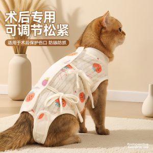 猫咪绝育服母猫手术服小猫绑带透气纯棉防舔断奶公猫术后宠物衣服