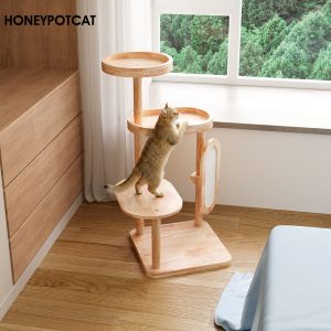 蜜罐猫家用猫爬架小户型不占地全实木猫架小猫专用猫咪爬架260319