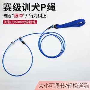 狗狗牵引绳p绳中型犬遛狗绳防爆冲小型犬训练专用p链大型犬狗链子