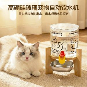 高硼硅玻璃猫咪饮水机不插电静音狗狗大容量宠物自动喂水器不湿嘴